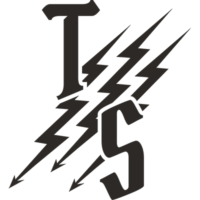 Logo Triple Spear Group